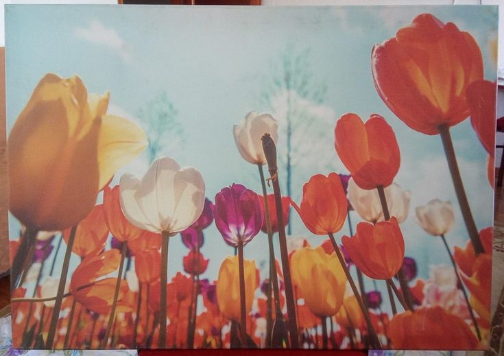 Poppy Flowers Acrylic Painting Table (on Cloth Canvas)