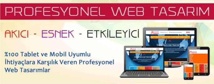 Websitesi Tasarımı – Hazır Websitesi Paketleri